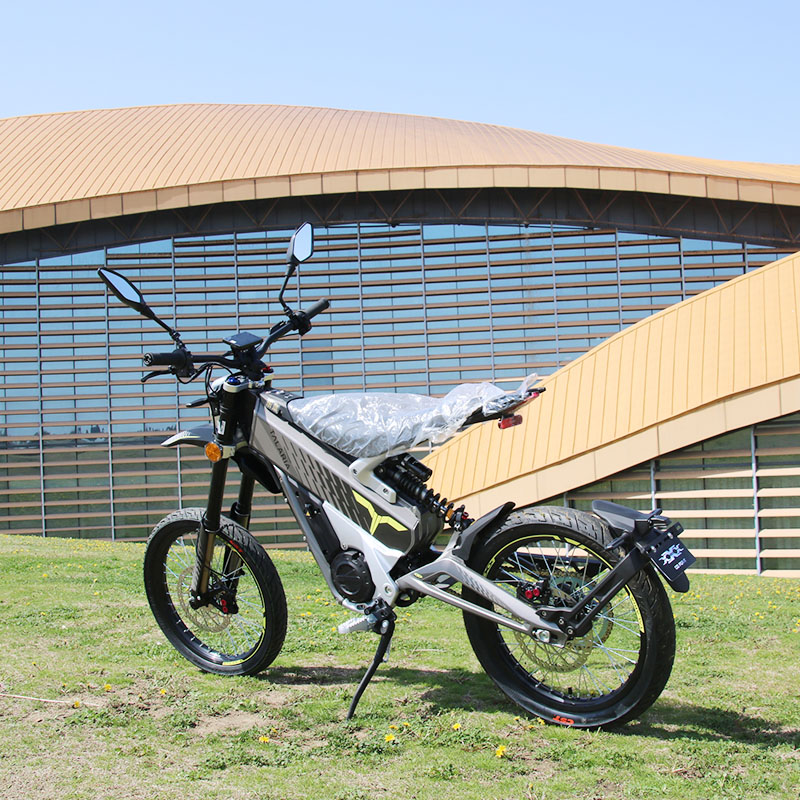 Stock!!!Talaria 3x 60V Lithium Battery Mountain Electric Bike 6000w Motorcycle 2 Speed for Adults - Image 2