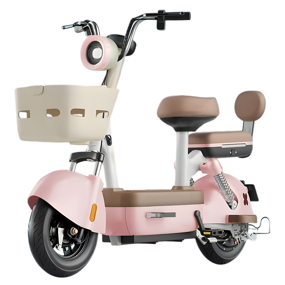 Budget Friendly 48 v Bike E with Two Wheel Money Saving Power Supply 350w Hub Motor New Model Electric Bicycle for Adult Student