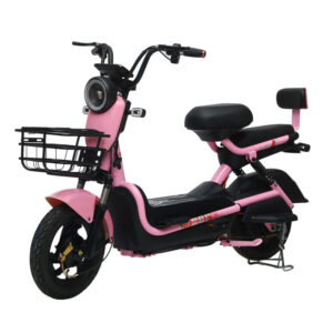 Good-looking Quality Hot Selling City Light and Easy to Travel With One Year Warranty Electric Bike Electric Bicycle