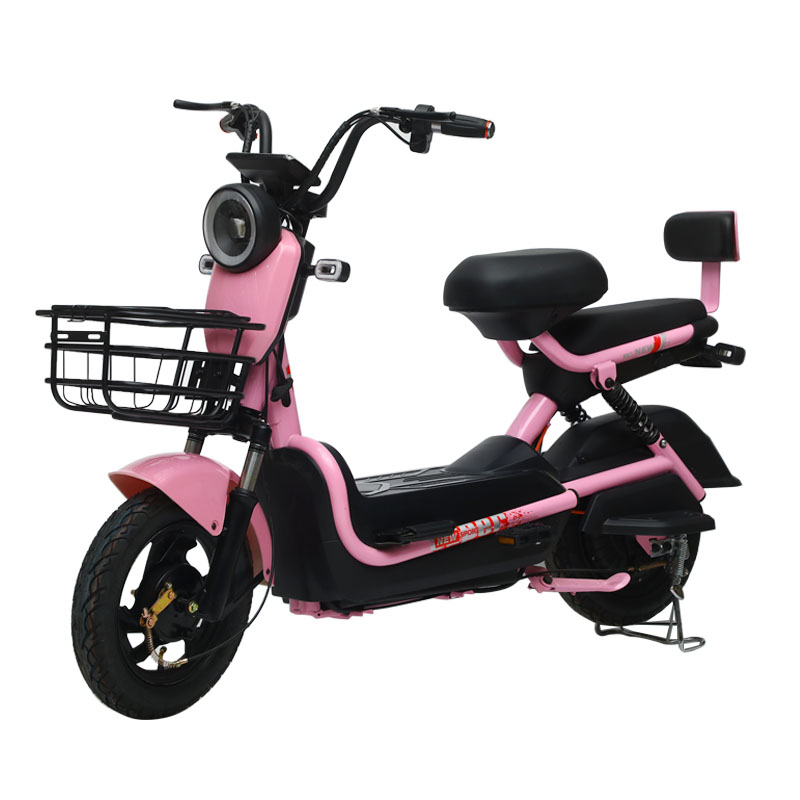 Good-looking Quality Hot Selling City Light and Easy to Travel With One Year Warranty Electric Bike Electric Bicycle